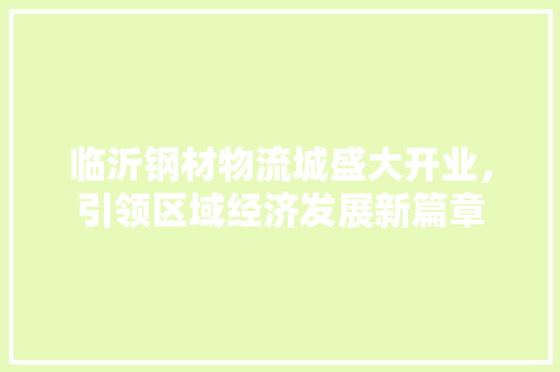 临沂钢材物流城盛大开业，引领区域经济发展新篇章