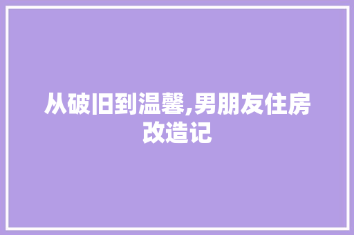 从破旧到温馨,男朋友住房改造记