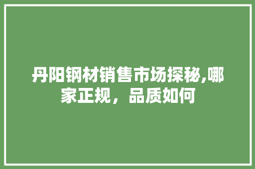 丹阳钢材销售市场探秘,哪家正规，品质如何