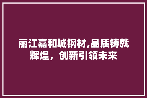 丽江嘉和城钢材,品质铸就辉煌，创新引领未来