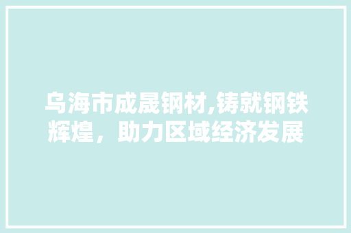 乌海市成晟钢材,铸就钢铁辉煌，助力区域经济发展