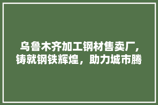 乌鲁木齐加工钢材售卖厂,铸就钢铁辉煌，助力城市腾飞