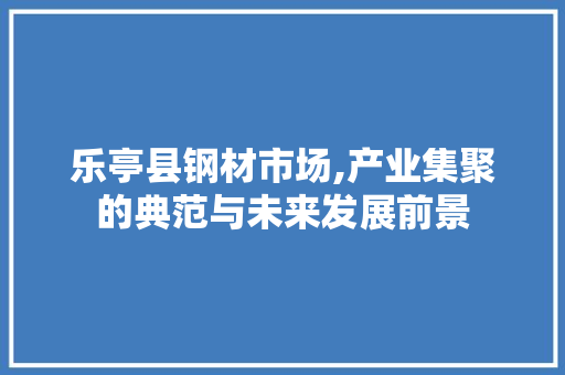 乐亭县钢材市场,产业集聚的典范与未来发展前景