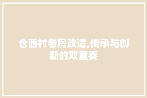 仓西村老房改造,传承与创新的双重奏
