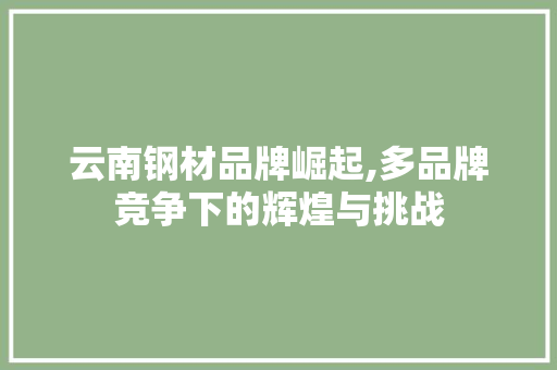 云南钢材品牌崛起,多品牌竞争下的辉煌与挑战