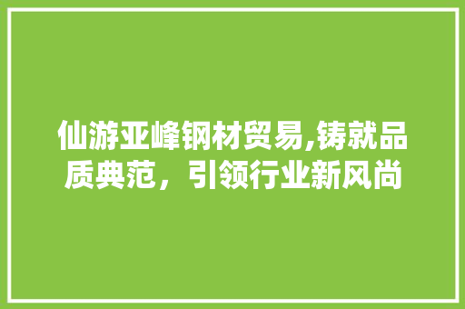 仙游亚峰钢材贸易,铸就品质典范，引领行业新风尚
