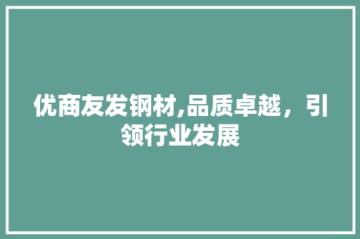 优商友发钢材,品质卓越，引领行业发展