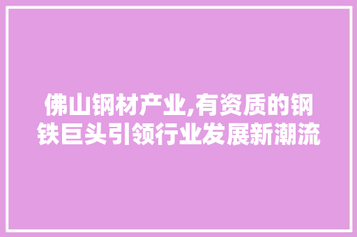 佛山钢材产业,有资质的钢铁巨头引领行业发展新潮流