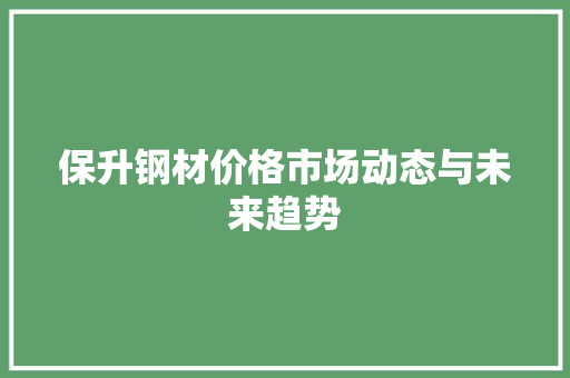 保升钢材价格市场动态与未来趋势
