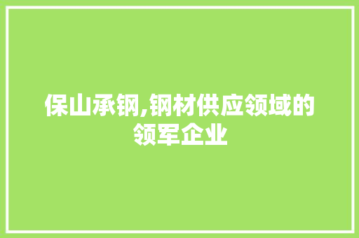 保山承钢,钢材供应领域的领军企业
