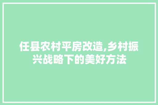 任县农村平房改造,乡村振兴战略下的美好方法