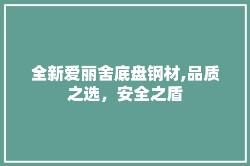 全新爱丽舍底盘钢材,品质之选，安全之盾