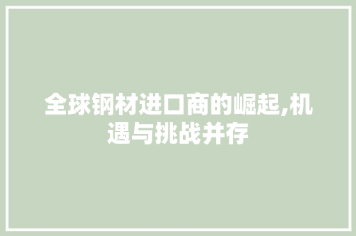 全球钢材进口商的崛起,机遇与挑战并存