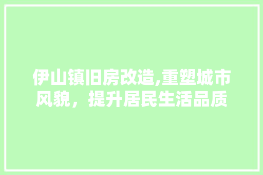 伊山镇旧房改造,重塑城市风貌，提升居民生活品质