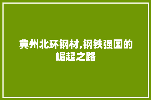 冀州北环钢材,钢铁强国的崛起之路