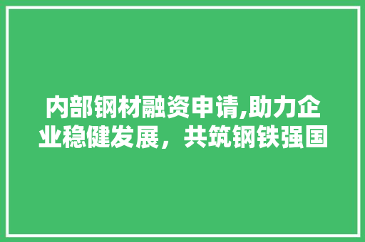 内部钢材融资申请,助力企业稳健发展，共筑钢铁强国梦想