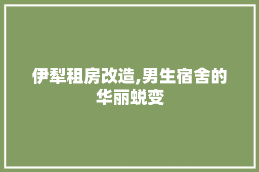 伊犁租房改造,男生宿舍的华丽蜕变