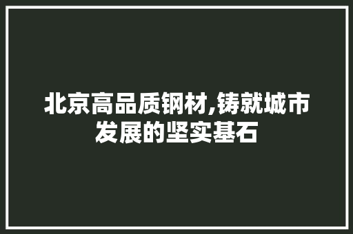 北京高品质钢材,铸就城市发展的坚实基石