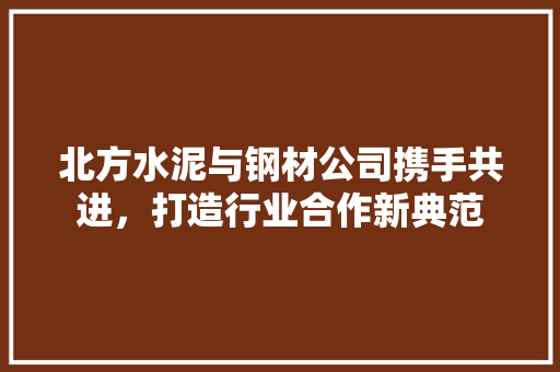 北方水泥与钢材公司携手共进，打造行业合作新典范
