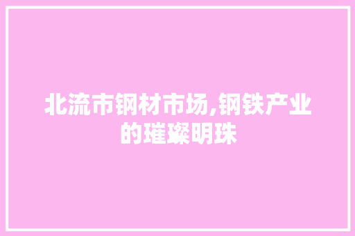 北流市钢材市场,钢铁产业的璀璨明珠