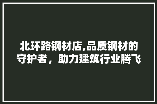 北环路钢材店,品质钢材的守护者，助力建筑行业腾飞
