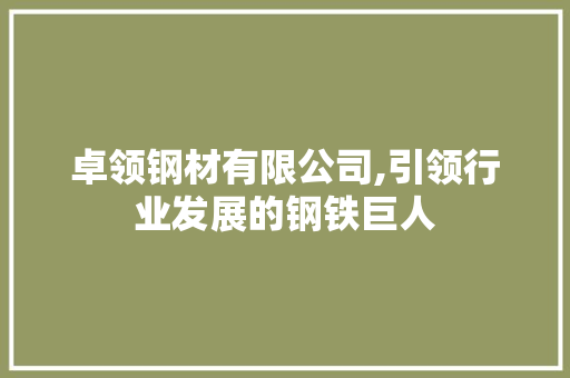 卓领钢材有限公司,引领行业发展的钢铁巨人