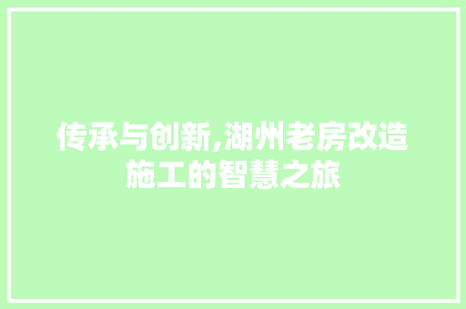 传承与创新,湖州老房改造施工的智慧之旅