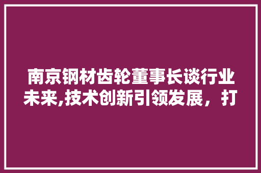 南京钢材齿轮董事长谈行业未来,技术创新引领发展，打造钢铁强国新篇章