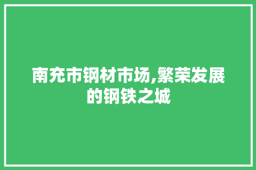 南充市钢材市场,繁荣发展的钢铁之城