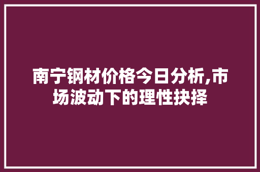 南宁钢材价格今日分析,市场波动下的理性抉择