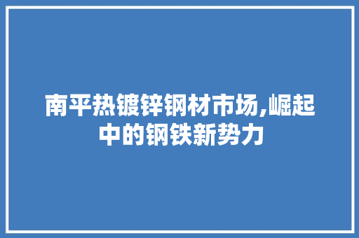南平热镀锌钢材市场,崛起中的钢铁新势力
