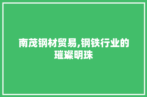 南茂钢材贸易,钢铁行业的璀璨明珠