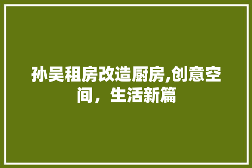 孙吴租房改造厨房,创意空间，生活新篇