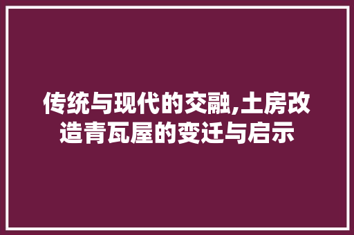 传统与现代的交融,土房改造青瓦屋的变迁与启示