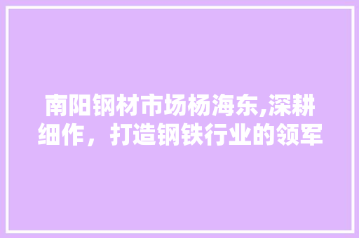 南阳钢材市场杨海东,深耕细作，打造钢铁行业的领军企业