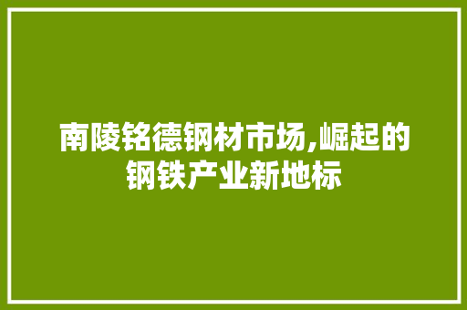 南陵铭德钢材市场,崛起的钢铁产业新地标