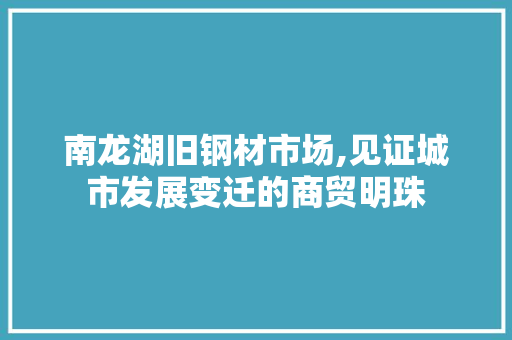 南龙湖旧钢材市场,见证城市发展变迁的商贸明珠