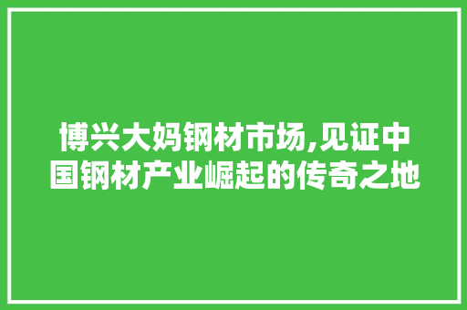 博兴大妈钢材市场,见证中国钢材产业崛起的传奇之地