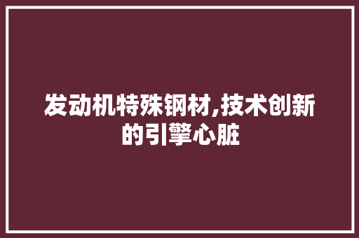 发动机特殊钢材,技术创新的引擎心脏
