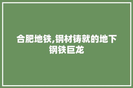 合肥地铁,钢材铸就的地下钢铁巨龙
