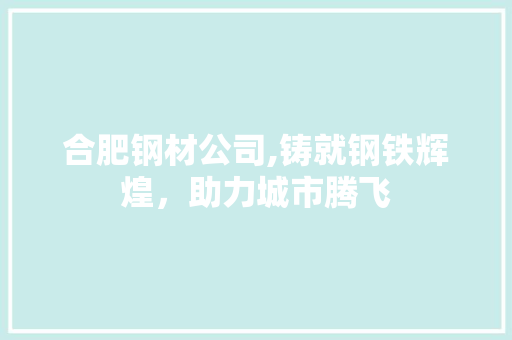 合肥钢材公司,铸就钢铁辉煌，助力城市腾飞