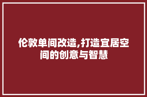 伦敦单间改造,打造宜居空间的创意与智慧