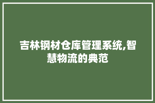 吉林钢材仓库管理系统,智慧物流的典范