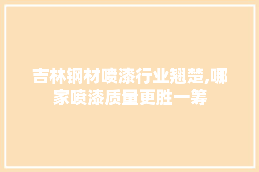 吉林钢材喷漆行业翘楚,哪家喷漆质量更胜一筹