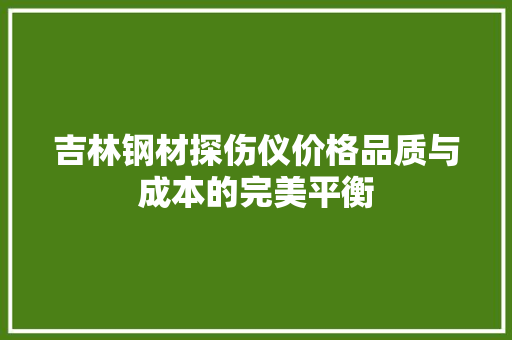 吉林钢材探伤仪价格品质与成本的完美平衡