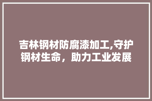 吉林钢材防腐漆加工,守护钢材生命，助力工业发展