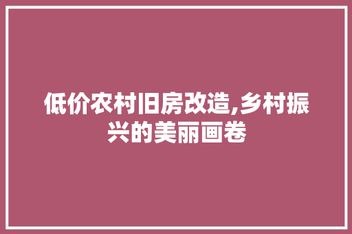 低价农村旧房改造,乡村振兴的美丽画卷