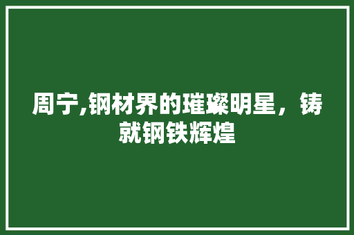 周宁,钢材界的璀璨明星，铸就钢铁辉煌