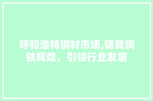 呼和浩特钢材市场,铸就钢铁辉煌，引领行业发展