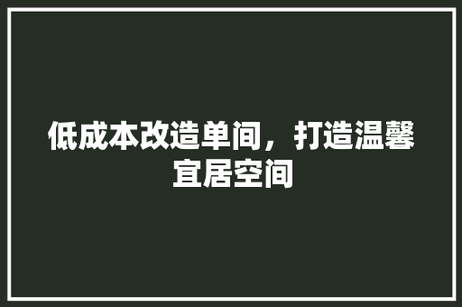 低成本改造单间，打造温馨宜居空间
